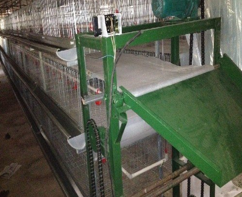 蛋鸡装备传送带式清粪机常见的这些问题你都知道吗？