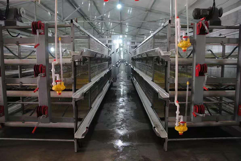 你知道肉鸡装备加料机的组成吗？？