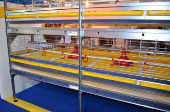 怎样给肉鸡装备风机镌汰噪音吗？？？