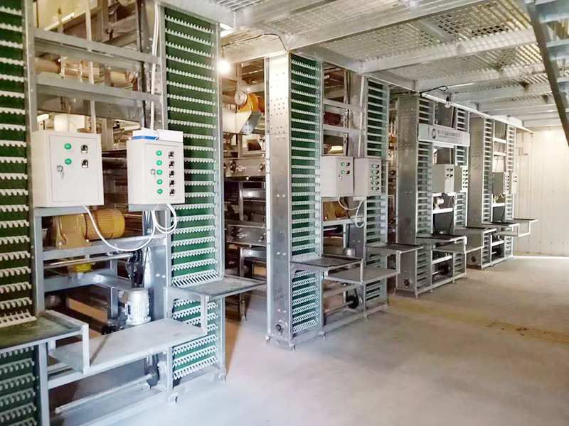 蛋鸡装备的养殖密度是怎样的呢？