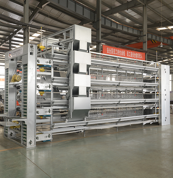 全自动养鸡装备